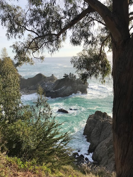 Westside Therapy Collective